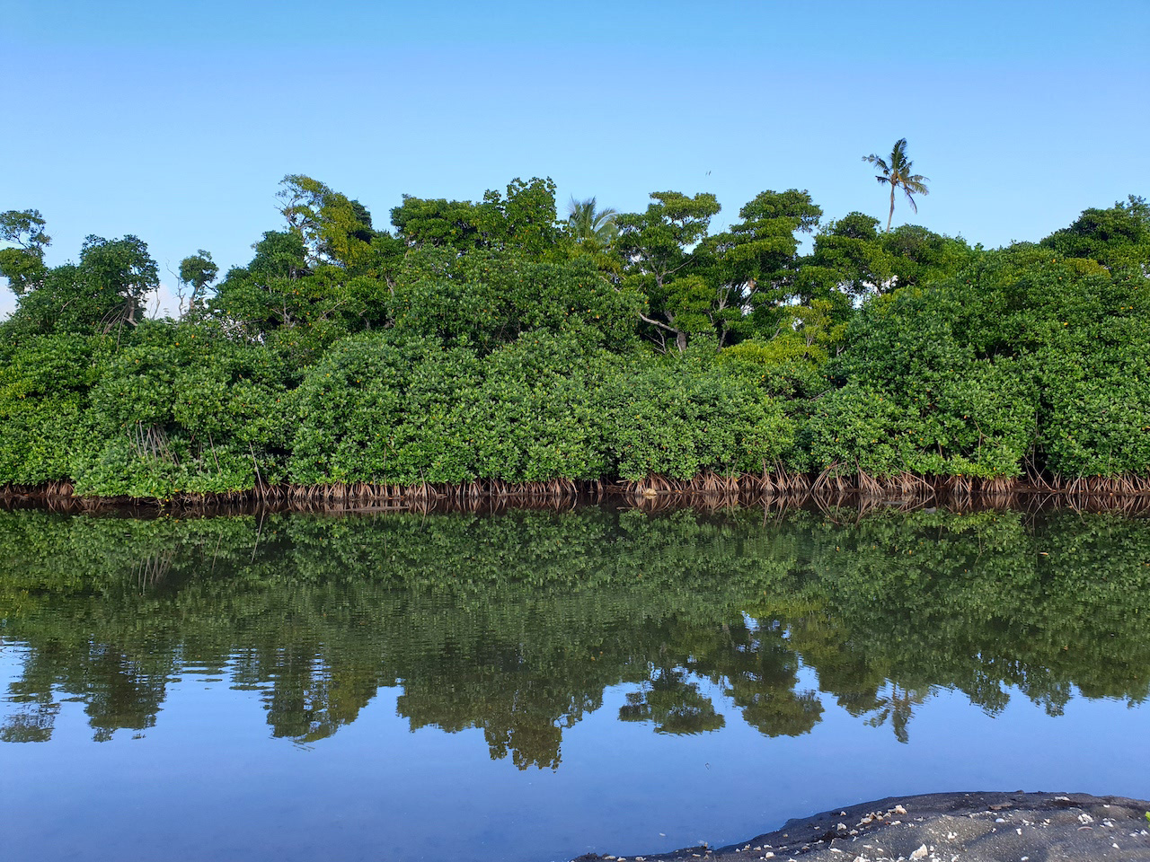 DE LA REFLEXION A L’ACTION: “BLUE FOOD FOR ACTION”