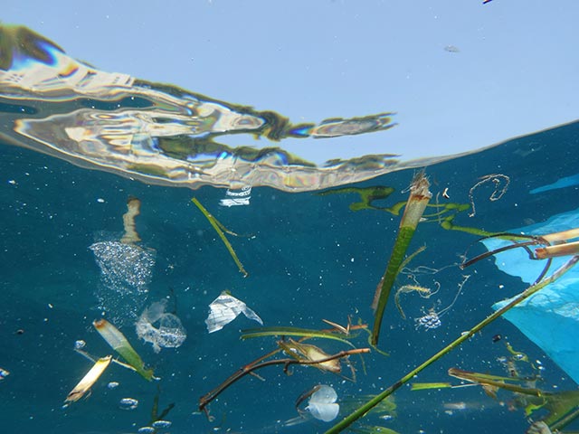 Plus de particules de plastique qu'on le croyait dans l'eau en