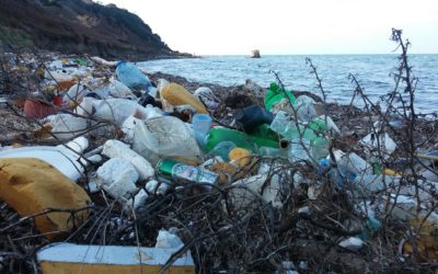Vers une nouvelle gouvernance mondiale des déchets marins plastiques ?