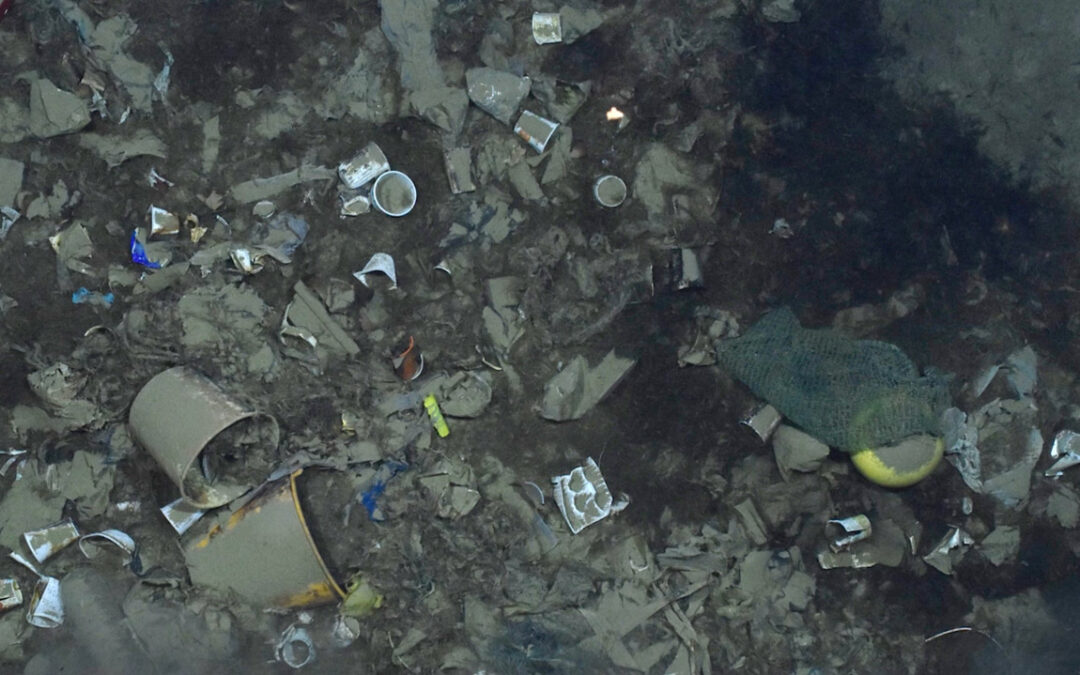A l’occasion de la Monaco Ocean Week, l’Accord RAMOGE présente une vidéo de sensibilisation sur l’impact des déchets marins, intitulée « Frisson dans les abysses ».