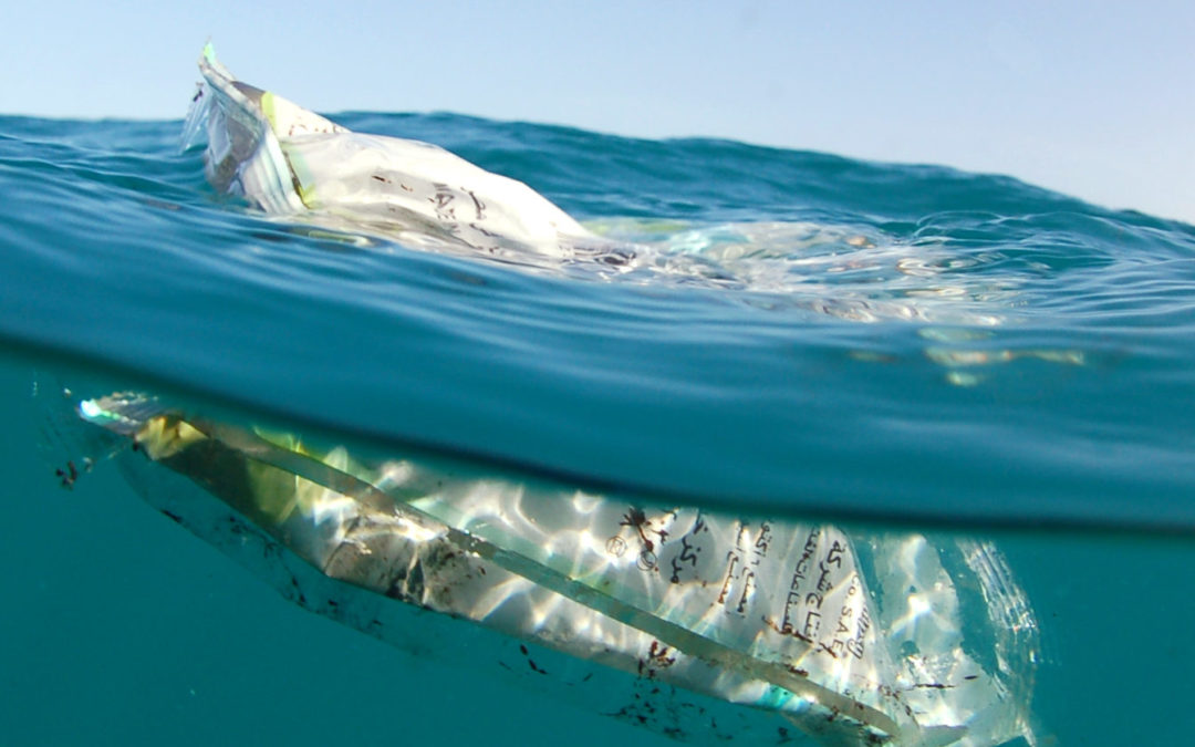 Marine waste in the Mediterranean: The importance of mobilising