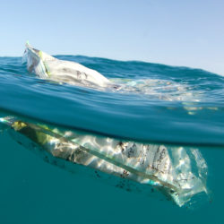 Déchets marins en Méditerranée : L’importance de se mobiliser