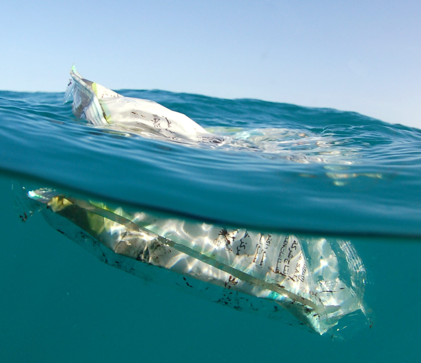 Déchets marins en Méditerranée : L’importance de se mobiliser